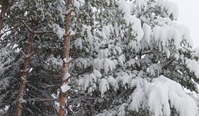 Kar Kalınlığı 30 Cm’e Ulaştı