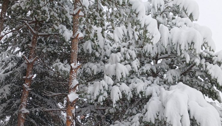 Kar Kalınlığı 30 Cm’e Ulaştı